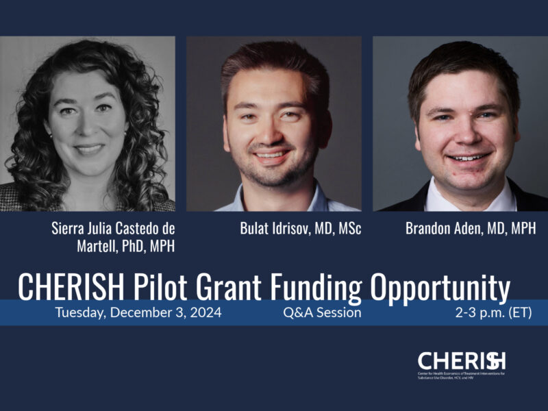 Pilot Grant Webinar-webpage