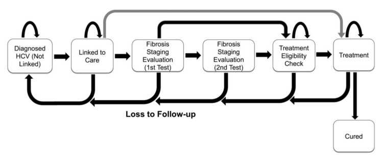 fibrosis-staging-figure